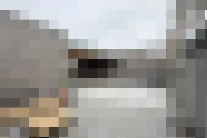 Herfstvlinder 10 Standdaarbuiten thumbnail 78