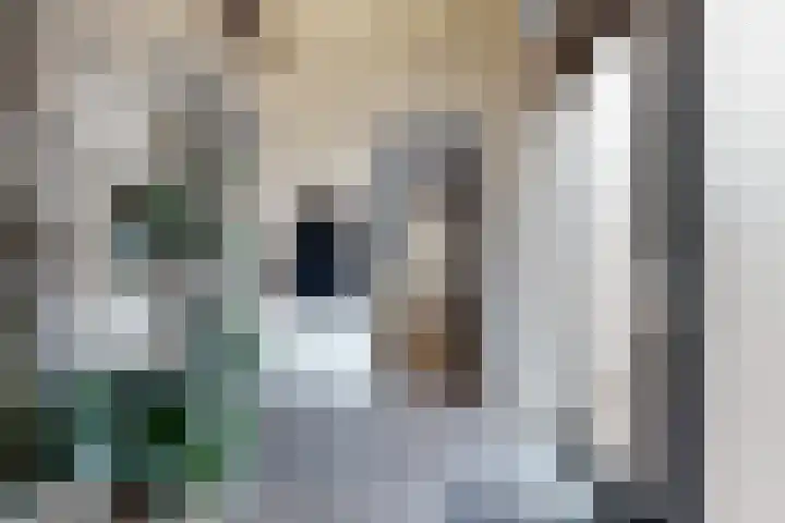 Herfstvlinder 10 Standdaarbuiten thumbnail 8
