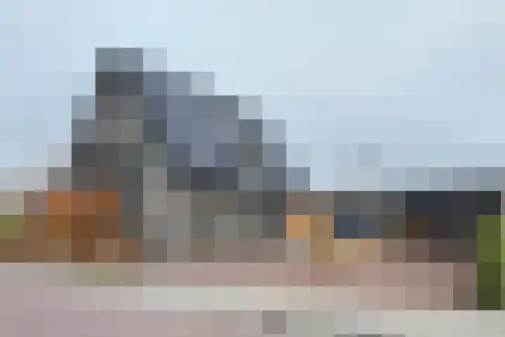 Herfstvlinder 10 Standdaarbuiten thumbnail 81