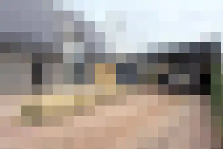 Herfstvlinder 10 Standdaarbuiten thumbnail 84