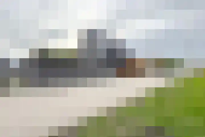 Herfstvlinder 10 Standdaarbuiten thumbnail 89
