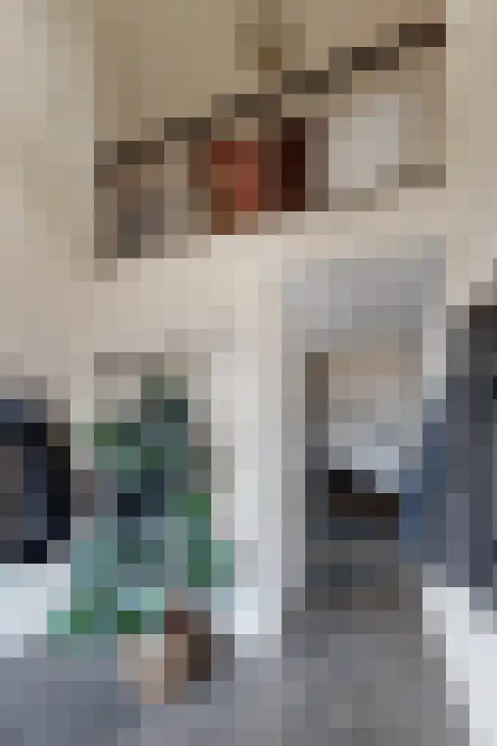 Herfstvlinder 10 Standdaarbuiten thumbnail 9