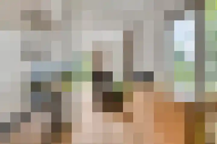 Herfterlaan 19 Zwolle thumbnail 12