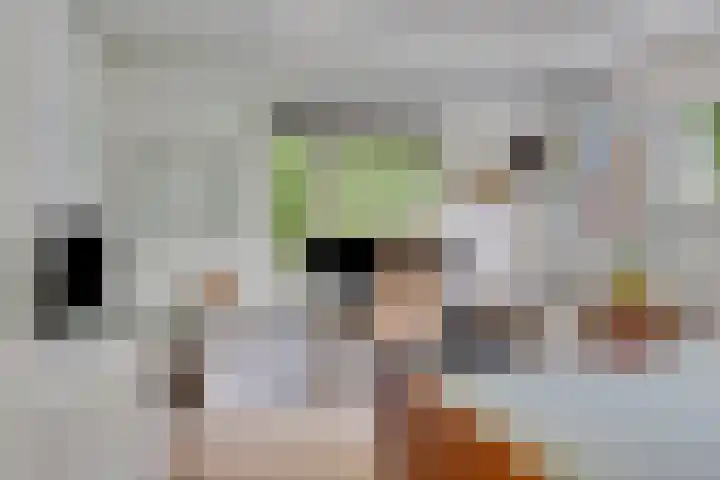Herfterlaan 19 Zwolle thumbnail 15