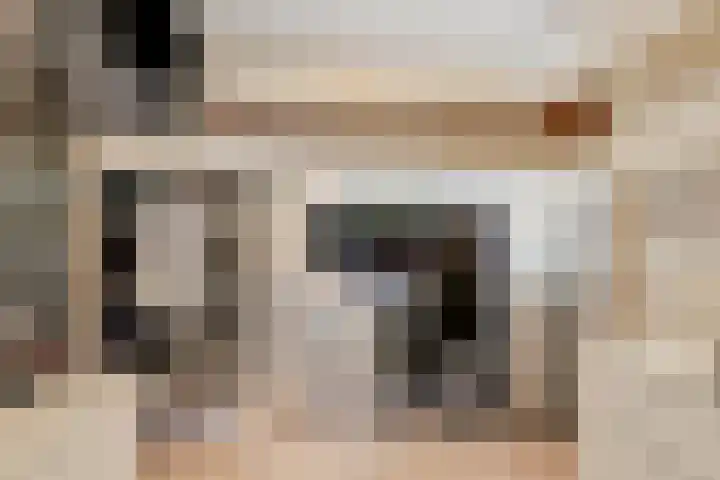 Herfterlaan 19 Zwolle thumbnail 20