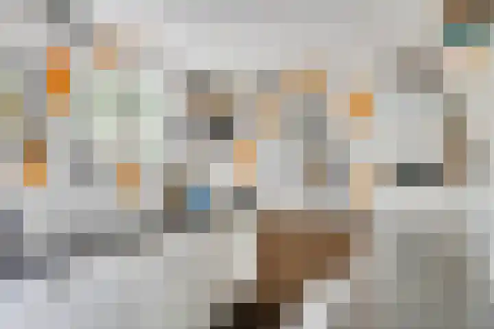 Herfterlaan 19 Zwolle thumbnail 21