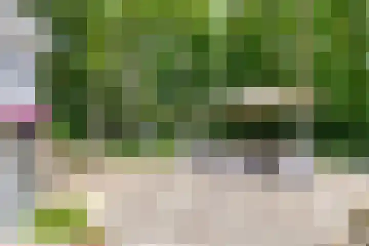 Herfterlaan 19 Zwolle thumbnail 27