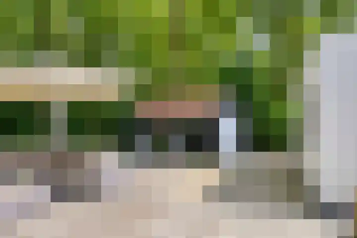 Herfterlaan 19 Zwolle thumbnail 28