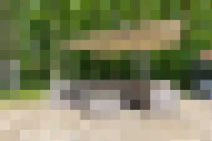 Herfterlaan 19 Zwolle thumbnail 29