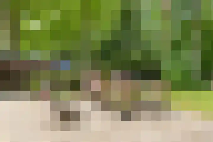 Herfterlaan 19 Zwolle thumbnail 30
