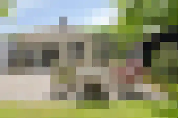Herfterlaan 19 Zwolle thumbnail 31