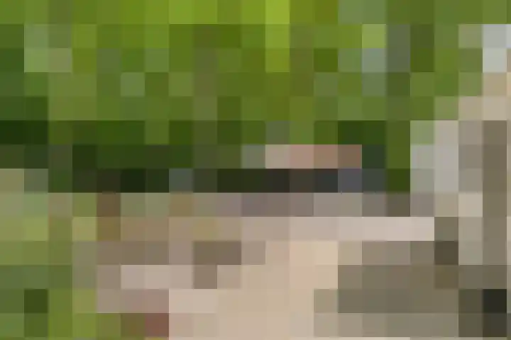 Herfterlaan 19 Zwolle thumbnail 32