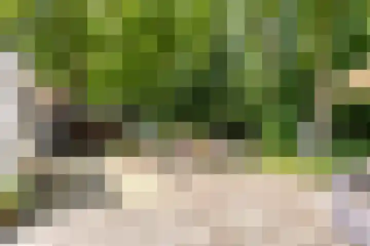 Herfterlaan 19 Zwolle thumbnail 33