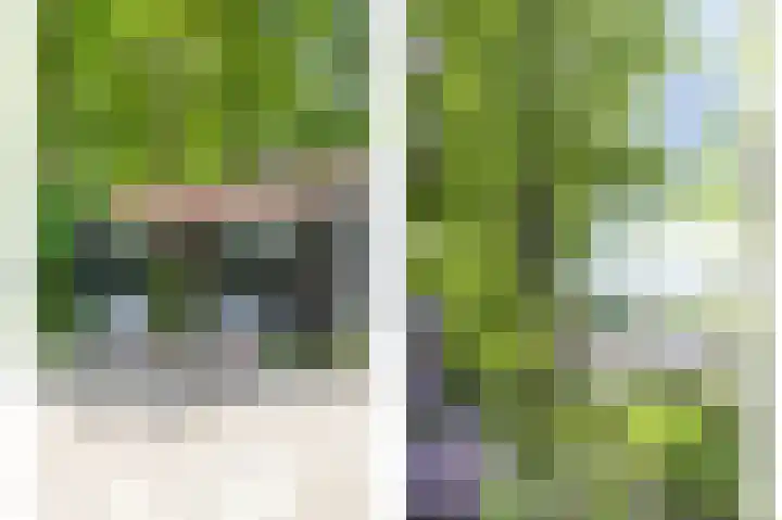 Herfterlaan 19 Zwolle thumbnail 34