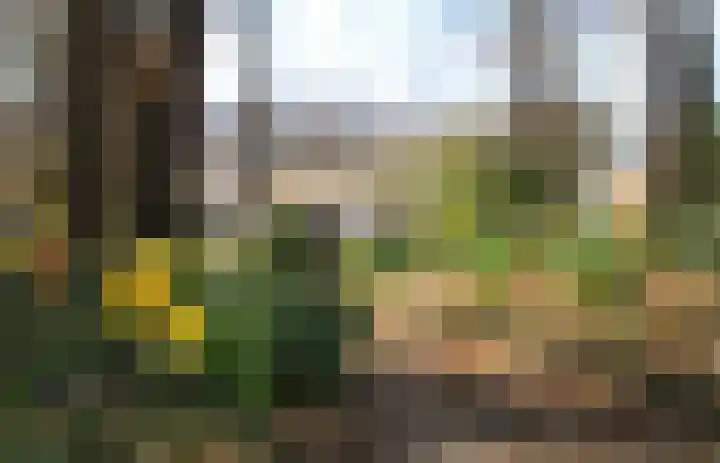 Herfterlaan 19 Zwolle thumbnail 35