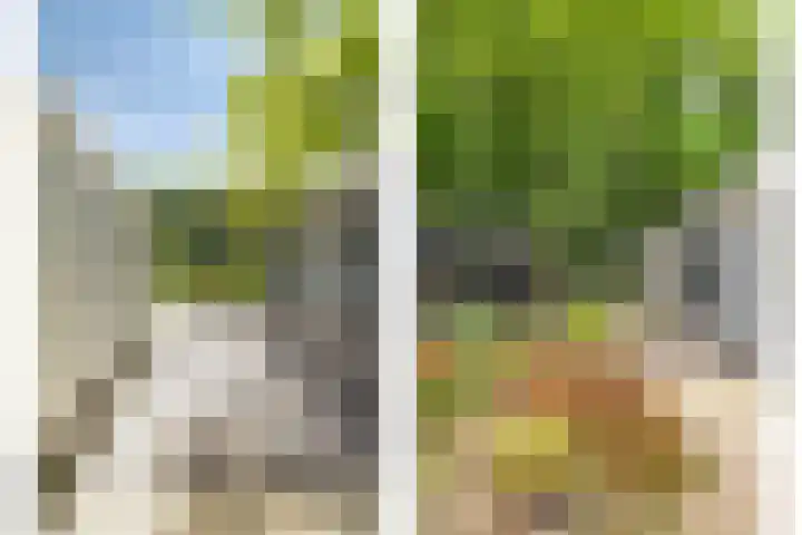 Herfterlaan 19 Zwolle thumbnail 36