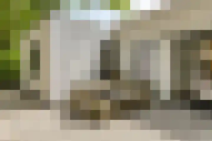 Herfterlaan 19 Zwolle thumbnail 37