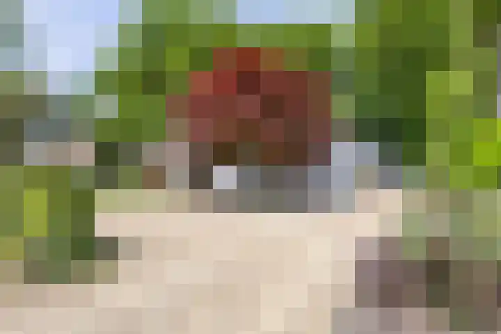 Herfterlaan 19 Zwolle thumbnail 38