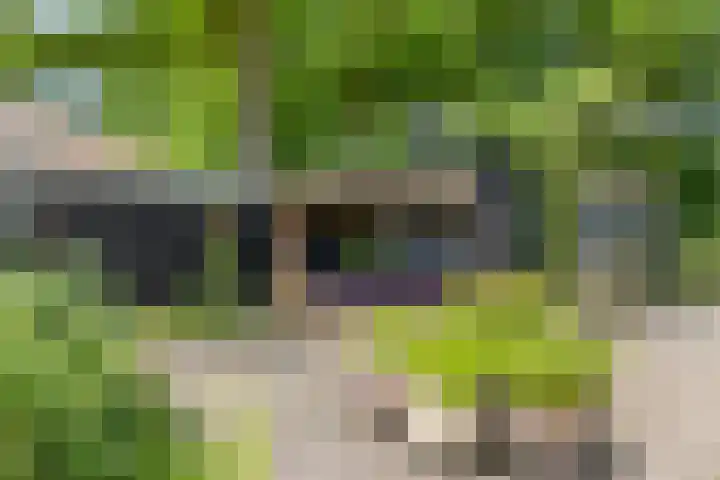 Herfterlaan 19 Zwolle thumbnail 42