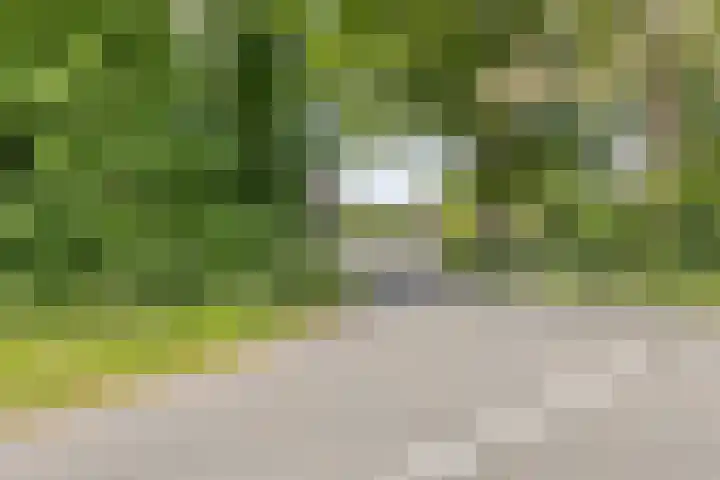 Herfterlaan 19 Zwolle thumbnail 44