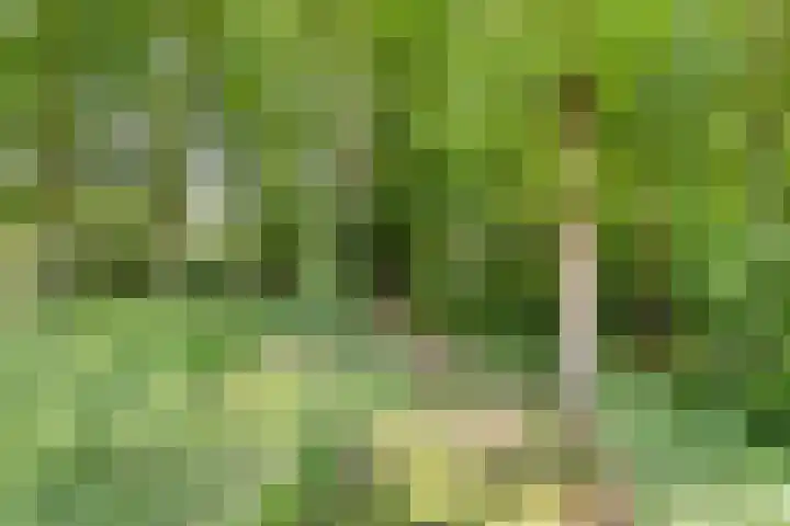 Herfterlaan 19 Zwolle thumbnail 45