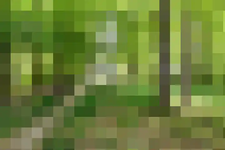Herfterlaan 19 Zwolle thumbnail 46