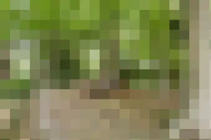 Herfterlaan 19 Zwolle thumbnail 47