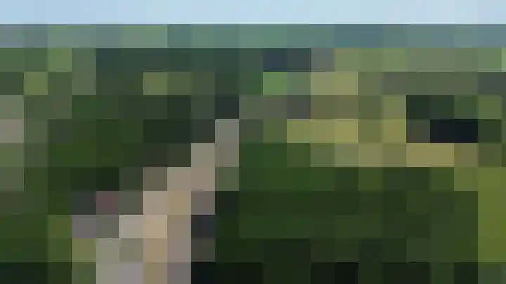 Herfterlaan 19 Zwolle thumbnail 49