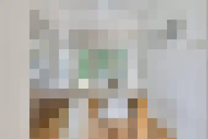 Herfterlaan 19 Zwolle thumbnail 6