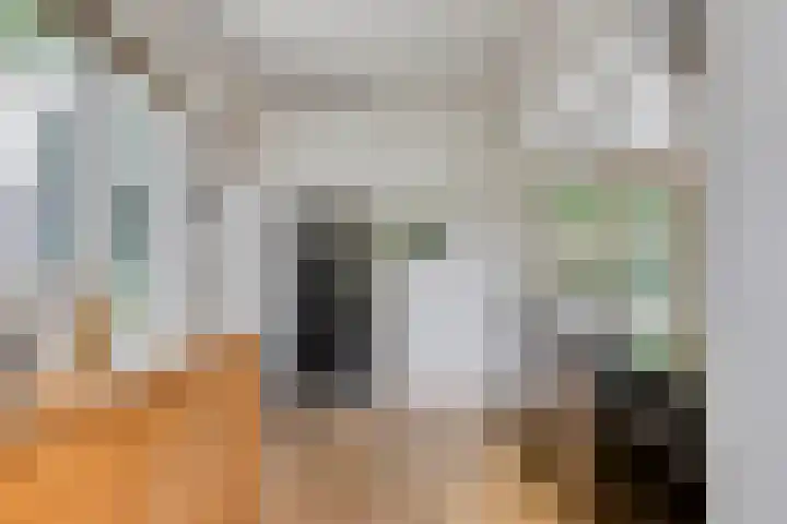 Herfterlaan 19 Zwolle thumbnail 8