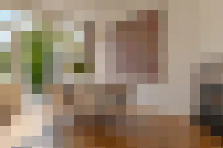 Herfterweg 12 Zwolle thumbnail 19
