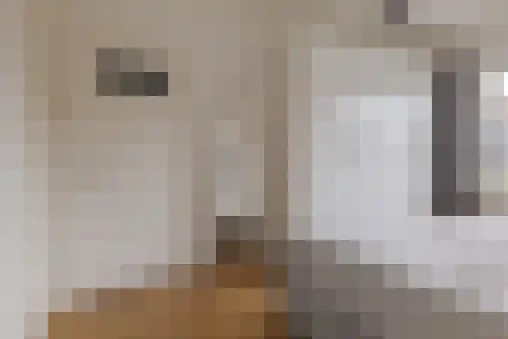 Herfterweg 12 Zwolle thumbnail 29