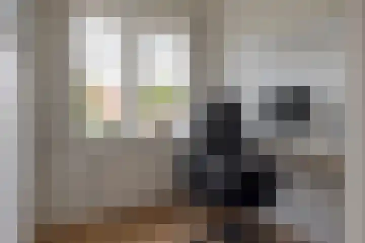 Herfterweg 12 Zwolle thumbnail 33