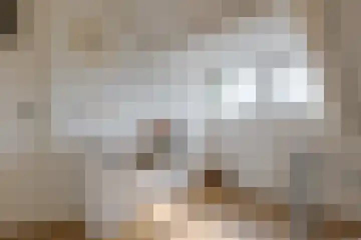 Herfterweg 12 Zwolle thumbnail 39