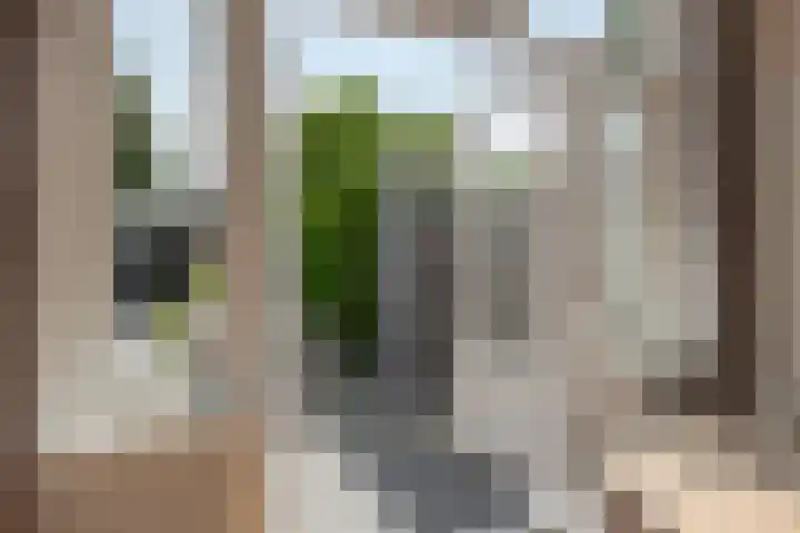 Herfterweg 12 Zwolle thumbnail 44