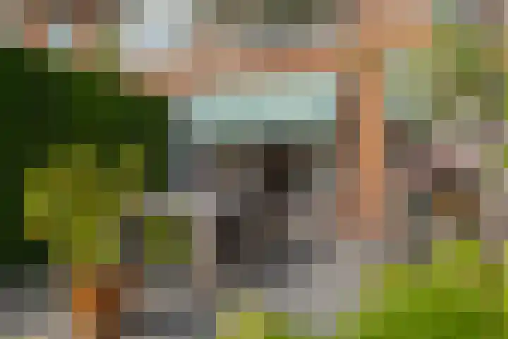 Herfterweg 12 Zwolle thumbnail 47