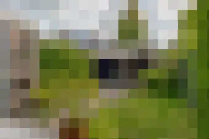 Herfterweg 12 Zwolle thumbnail 49