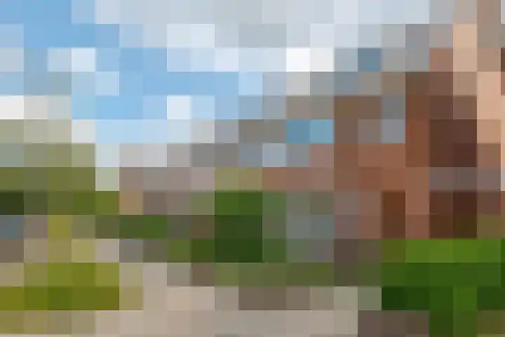 Herfterweg 12 Zwolle thumbnail 5