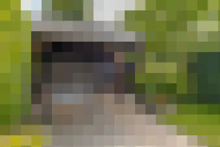 Herfterweg 12 Zwolle thumbnail 50