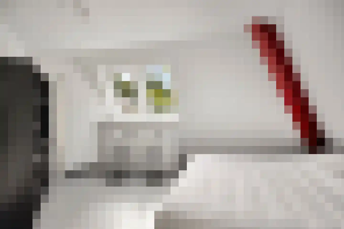 Herik 2 Venray thumbnail 19