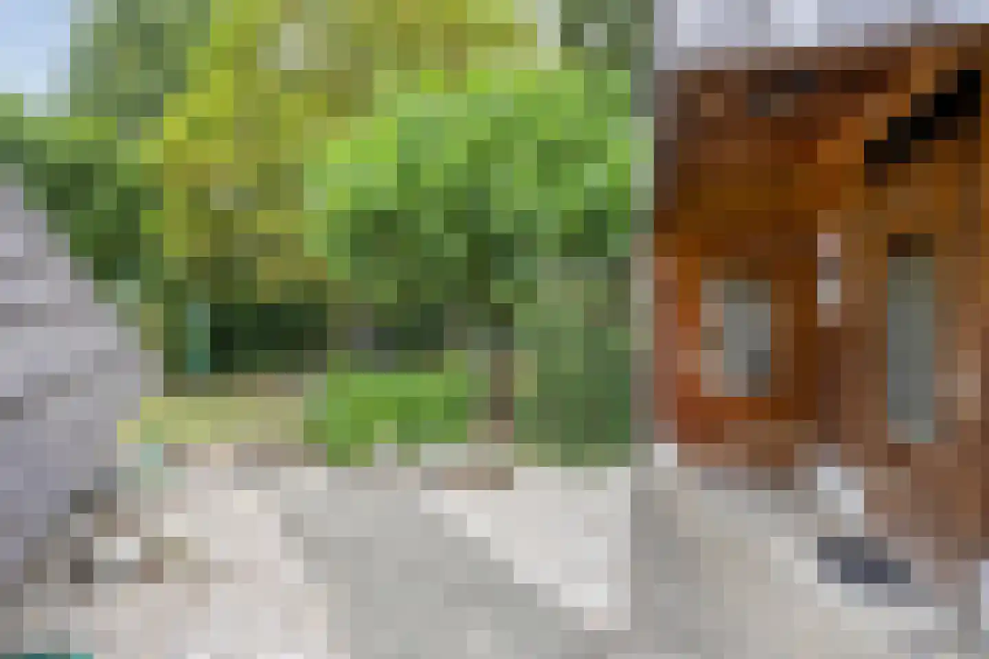 Herik 2 Venray thumbnail 26