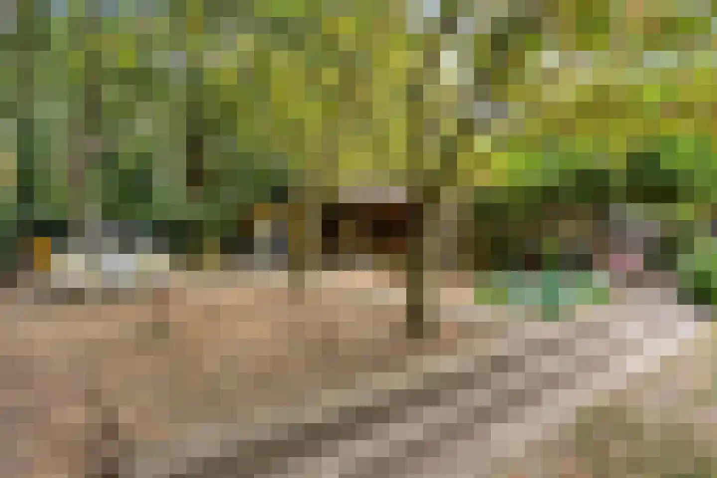 Herik 2 Venray thumbnail 29