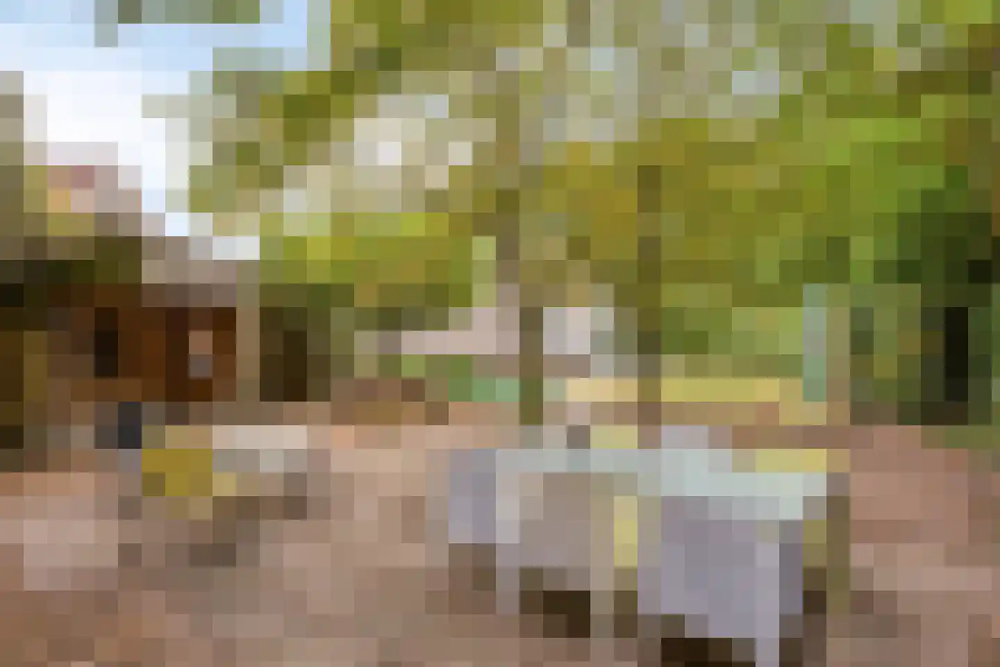 Herik 2 Venray thumbnail 30