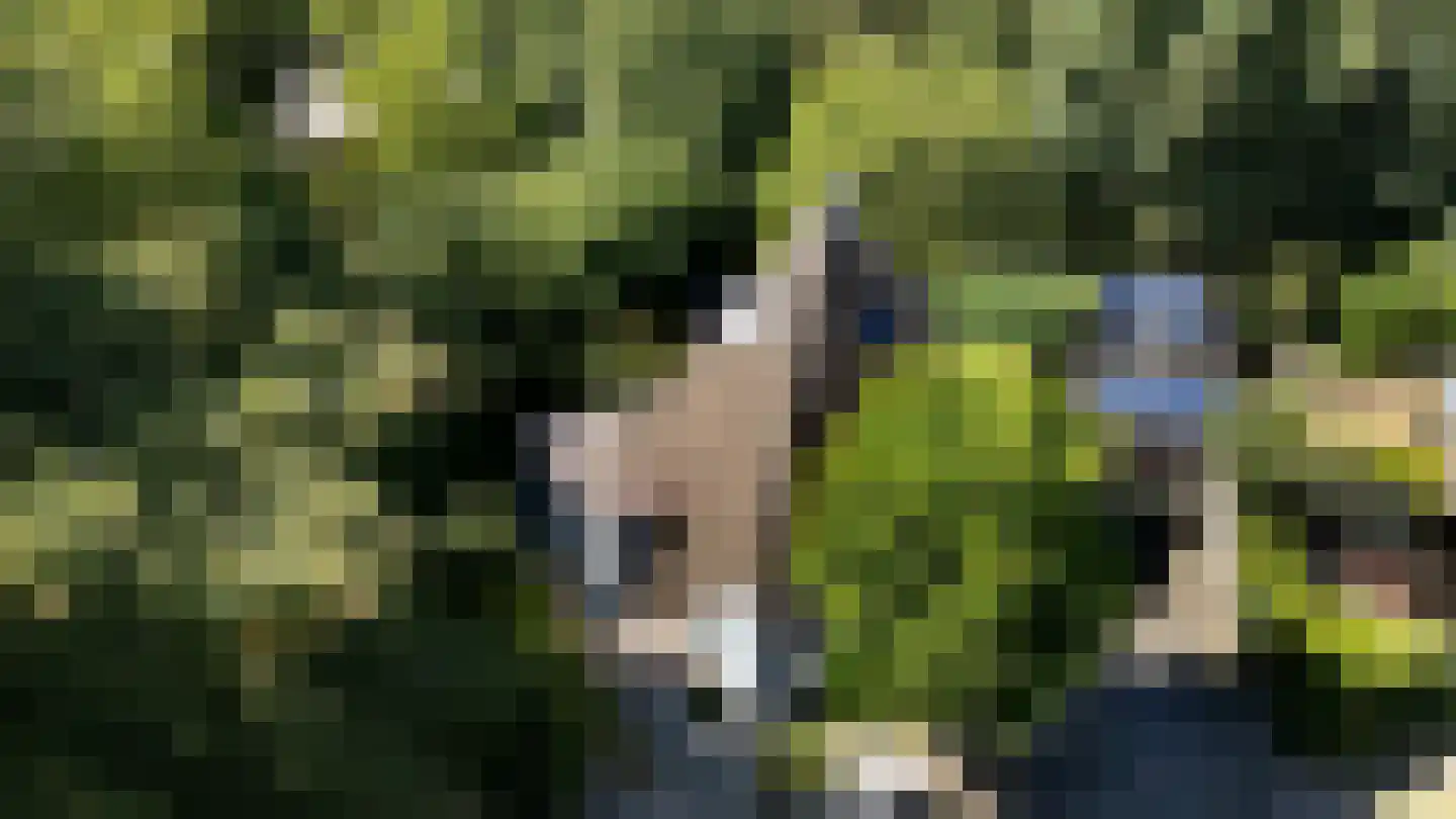 Herik 2 Venray thumbnail 31