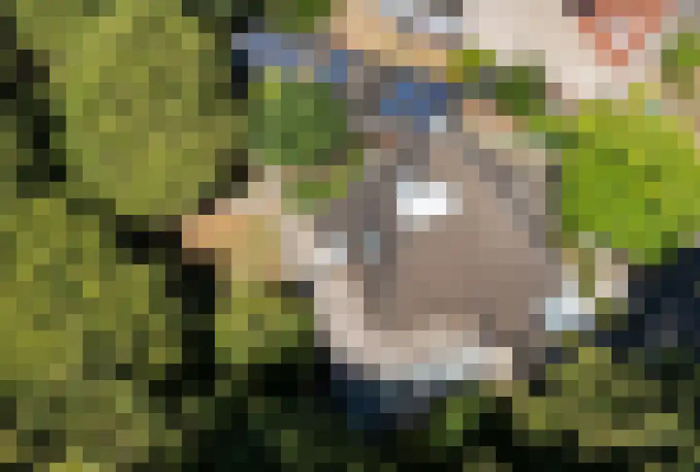 Herik 2 Venray thumbnail 32