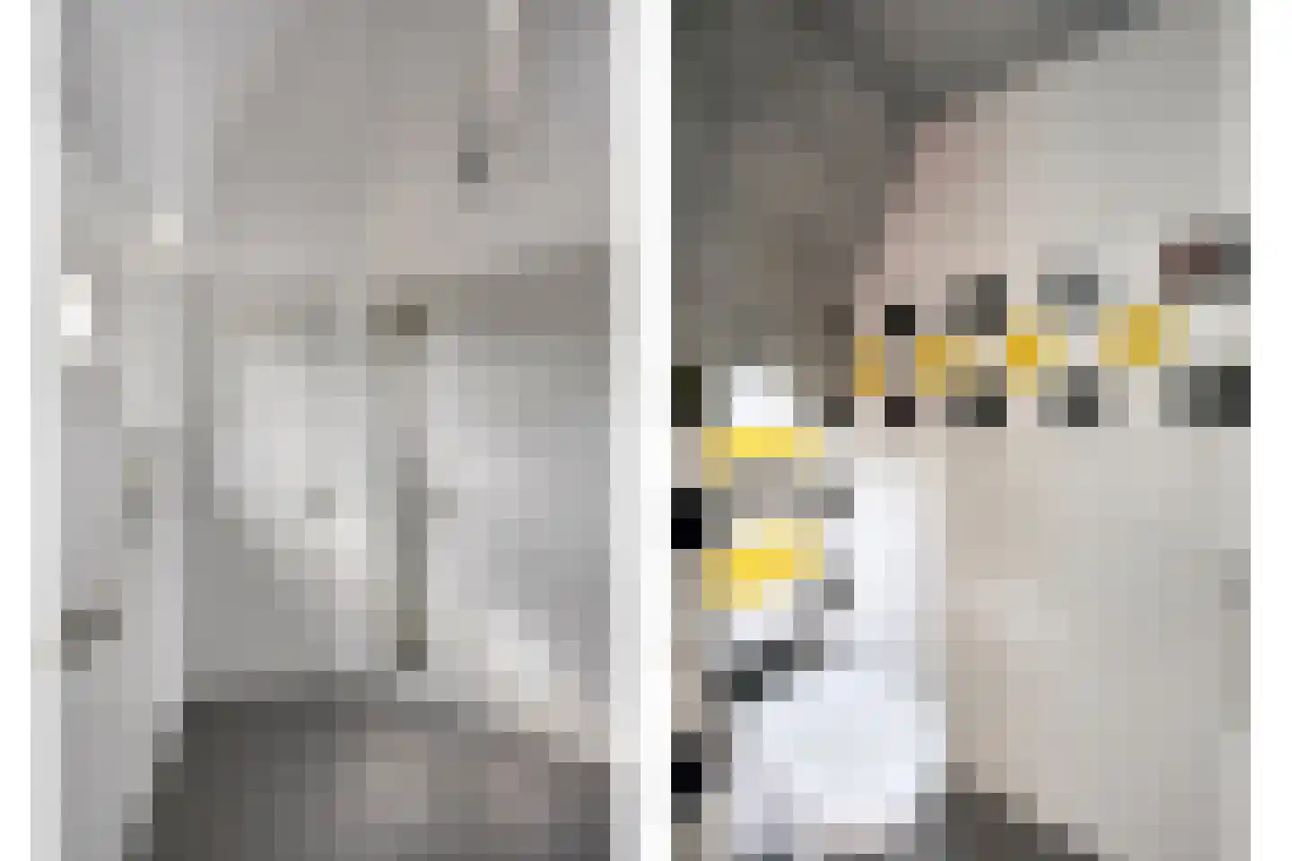 Herik 2 Venray thumbnail 5