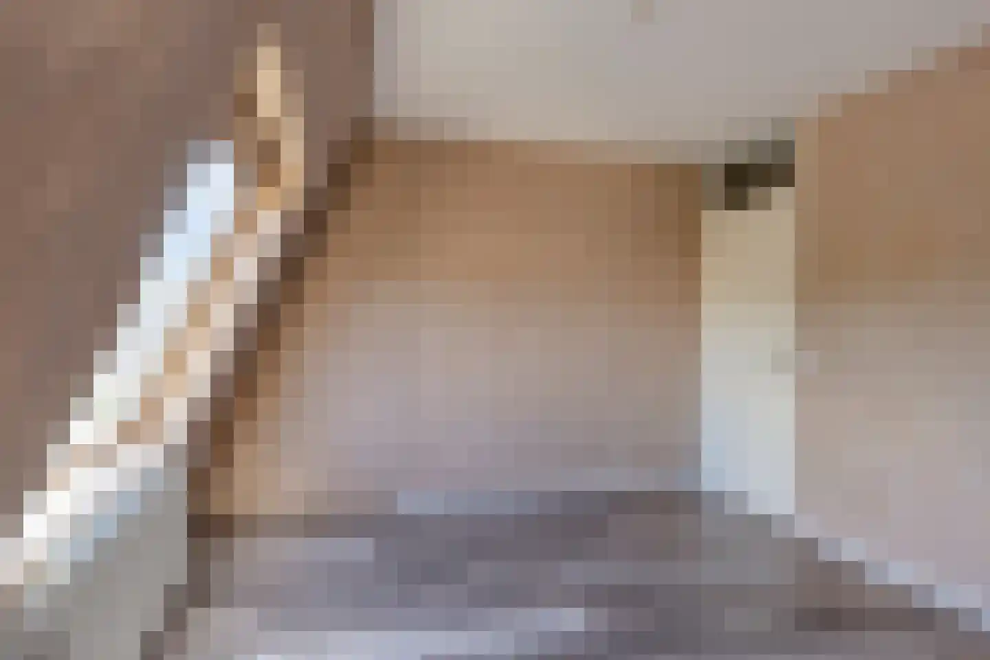 Herik 45 Huizen thumbnail 24
