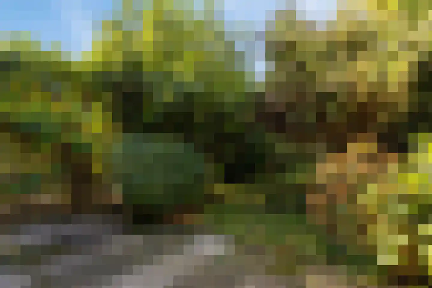 Herik 45 Huizen thumbnail 32