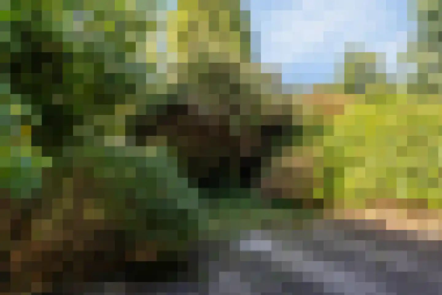 Herik 45 Huizen thumbnail 33