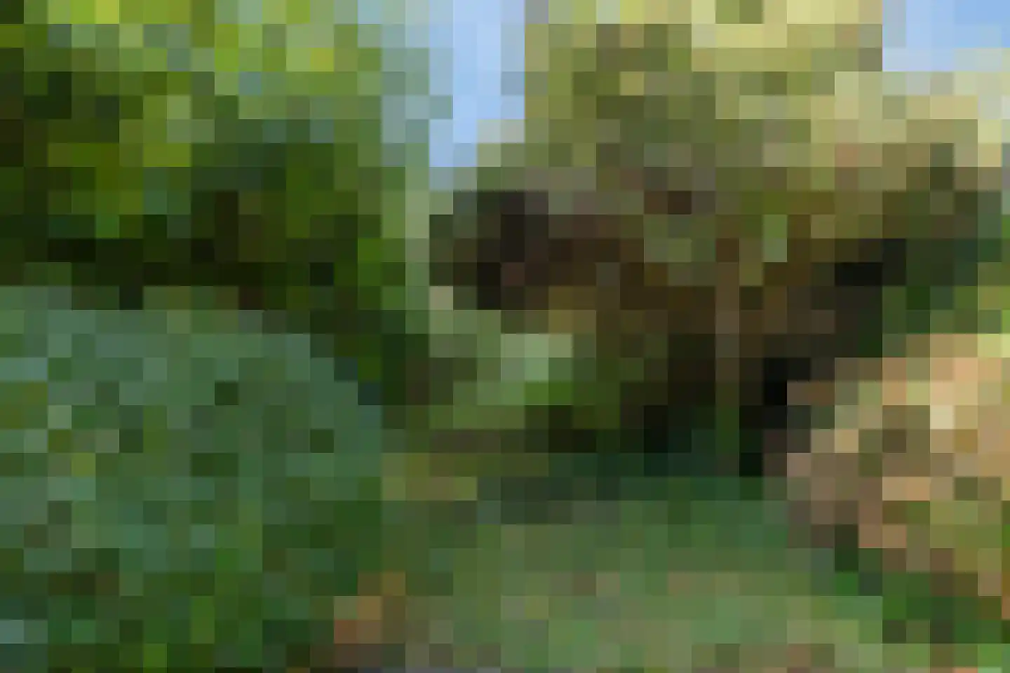 Herik 45 Huizen thumbnail 34
